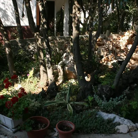 Apartman Mandre 6405b *