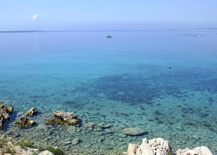 Mandre 6405b 아파트 콜란